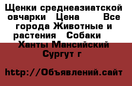 Щенки среднеазиатской овчарки › Цена ­ 1 - Все города Животные и растения » Собаки   . Ханты-Мансийский,Сургут г.